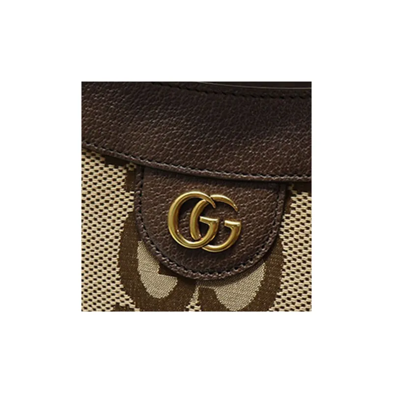 GUCCI Diana Canvas With Leather Canvas Bag Shoulder Bag Crossbody Bag Handbag Medium Size Women's Brown-6