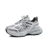 Silver Gray