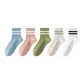 5 Pack (Blue+Pink+Green+Khaki+White)