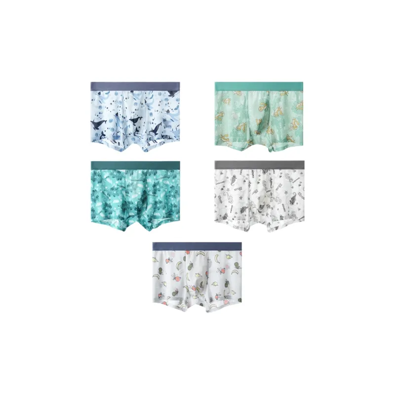 MIIOW Cool One Summer Series Underpants Men's 5 Pack-12