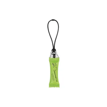 LONGCHAMP Cow Leather Keychains Men's Green