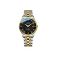 Gold Black Dial Steel Band+Ecru Box+Leather Strap