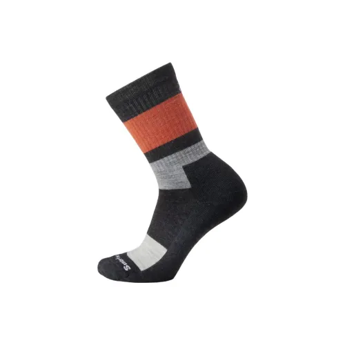 SMARTWOOL Everyday Blocked Stripe Crew Socks Mid-Calf Socks Men's 1 Pack