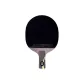 Blizzard King Short Handle*1