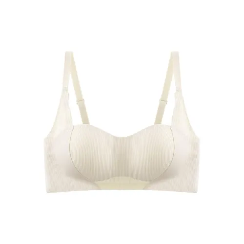 Lanza Women's Bras