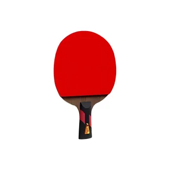 DOUBLE FISH Ping Pong Paddles