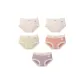 5-Pack[Skin+Skin+Grass Yellow+Light Orange+Purple]