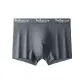 8821-Silver Gray