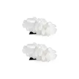 [Rice]2 Pcs