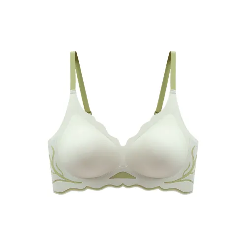 Lanza Women's Bras