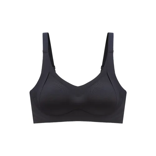 Lanza Women's Bras