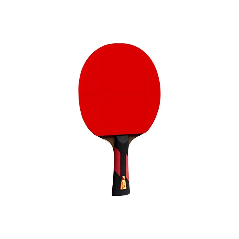 DOUBLE FISH Ping Pong Paddles-2