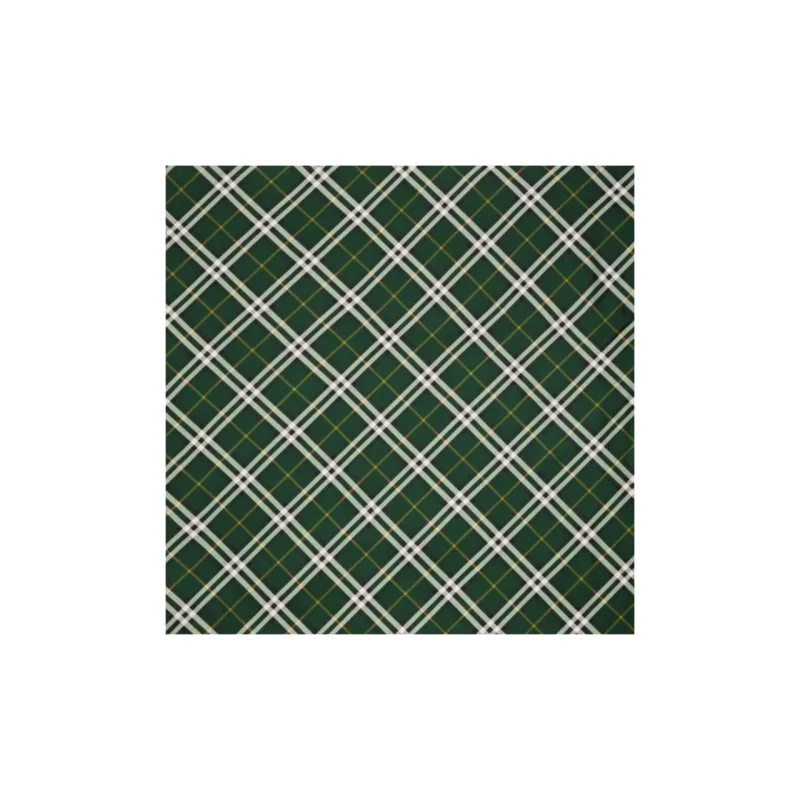 Burberry Check Printed Finished Edge Scarf-2