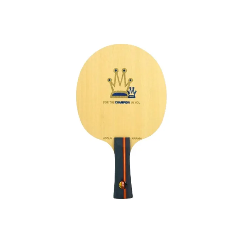 JOOLA Ping Pong Paddles-0