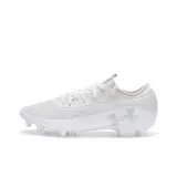 Gray/White