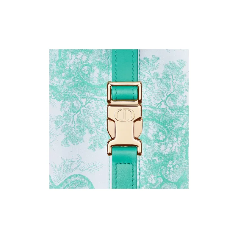 DIOR DIORIVIERA Technical Fabric Clutch Lunch Box Bag Medium Size Women's Mint Green-4