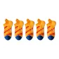 5 Pack (Orange)