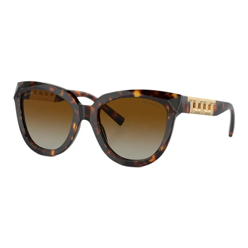 TIFFANY & CO. Cat-Eye Frame Sunglasses-0