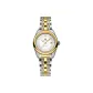 Gold Case White Dial Two-Tone Gold Steel Band