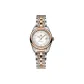 Rose Gold Case White Dial Rose Gold Steel Band