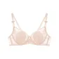 Cream Apricot