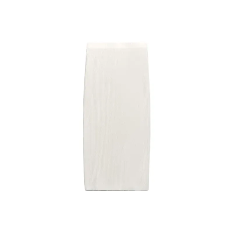 ZARA Casual Long Skirt Women's Frosted White-1