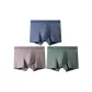 Elegant Blue+Coffee Gray+Gray Green