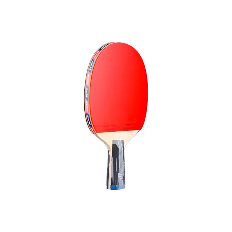 Butterfly Ping Pong Paddles-6