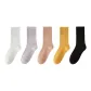 5 Pack (White+Light Purple+Orange+Copper Yellow+Black)
