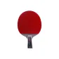 Double Fish 6D Penhold Grip Short Handle*1