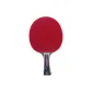 Double Fish 6D Double Shakehand Grip Long Handle