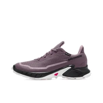Alphacross 5 Women's SALOMON GORE TEX 'Moonscape' Women's