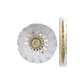 Gold Size 37 7-Speed 12 Pack