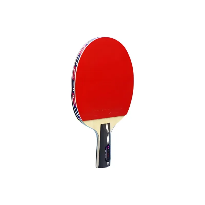 Butterfly Ping Pong Paddles-4