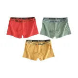 Ginger Yellow+Green+Orange Red