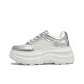 Silver/White