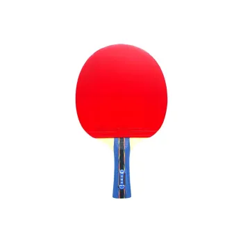 Butterfly Ping Pong Paddles