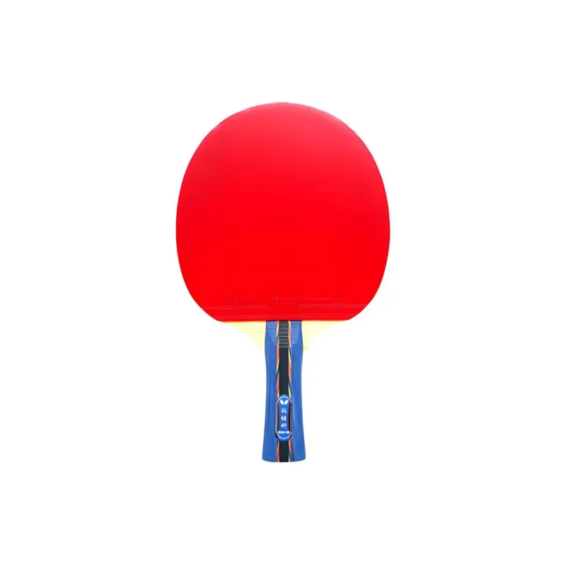 Butterfly Ping Pong Paddles-0