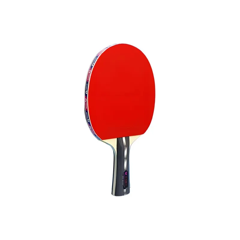 Butterfly Ping Pong Paddles-3