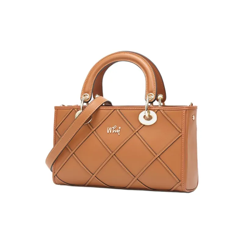 Why Cow Leather Lady Dior Bag, Shoulder Bag, Crossbody Bag, Handbag Medium Size Women's Caramel/Black-2