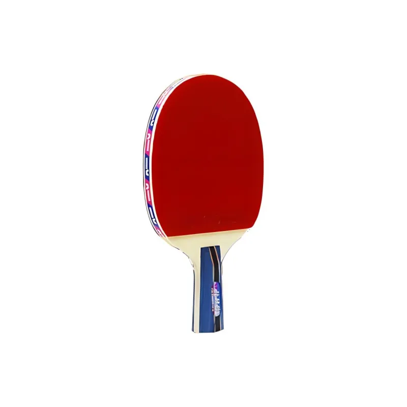 Butterfly Ping Pong Paddles-2