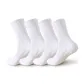 [Terry Sole]White