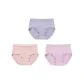 3 Pack (Mist Blue/Pink Skin/Dream Purple)