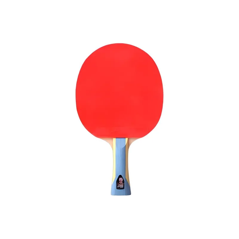 DHS Ping Pong Paddles-10