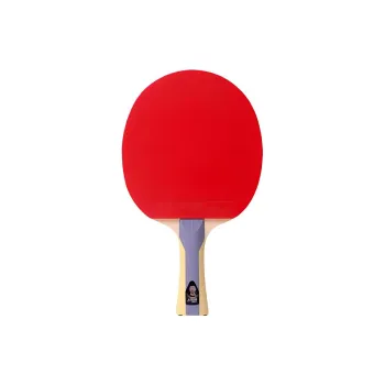 DHS Ping Pong Paddles Unisex Black Red