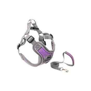 Kimpets Leashes