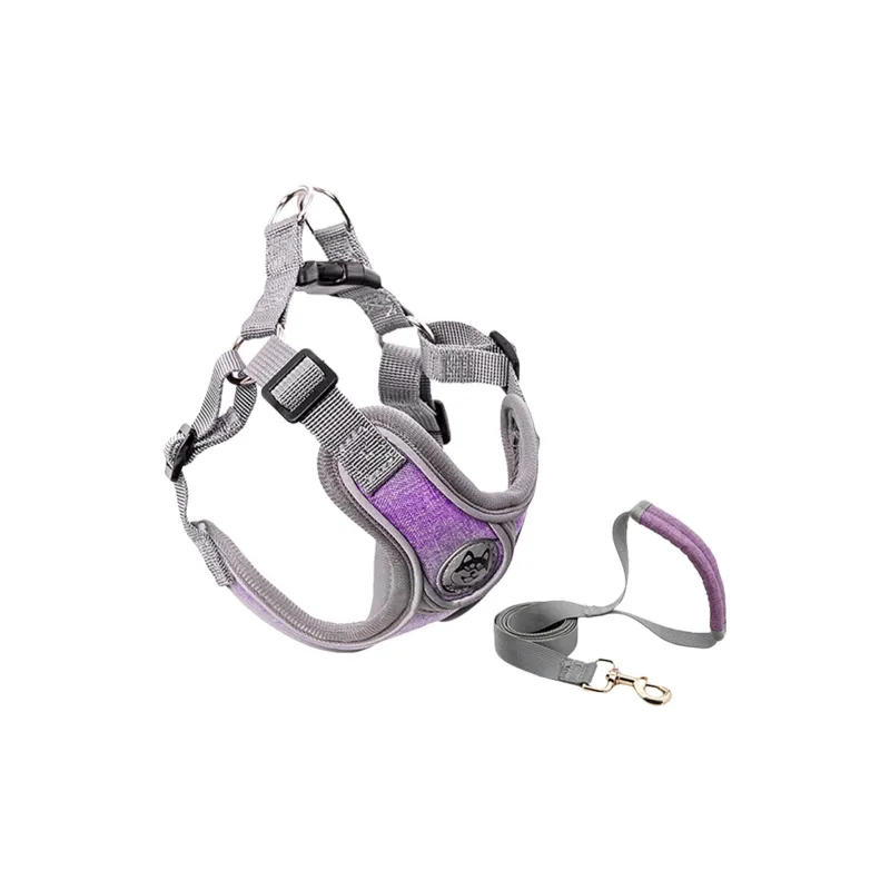 Kimpets Leashes-0