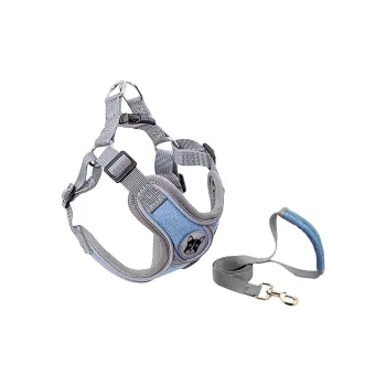 Kimpets Leashes