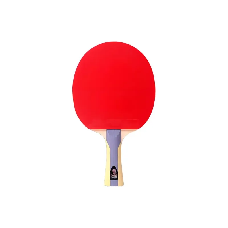 DHS Ping Pong Paddles-8