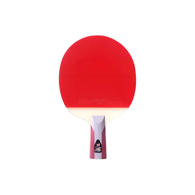 DHS Ping Pong Paddles-9